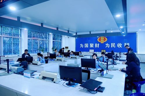 慶陽稅務 高效辦稅促發展，稅惠服務暖企心