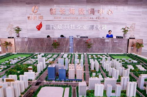 樓宇經(jīng)濟賦能中小微 新長海服務外包基地的稅務解憂之道
